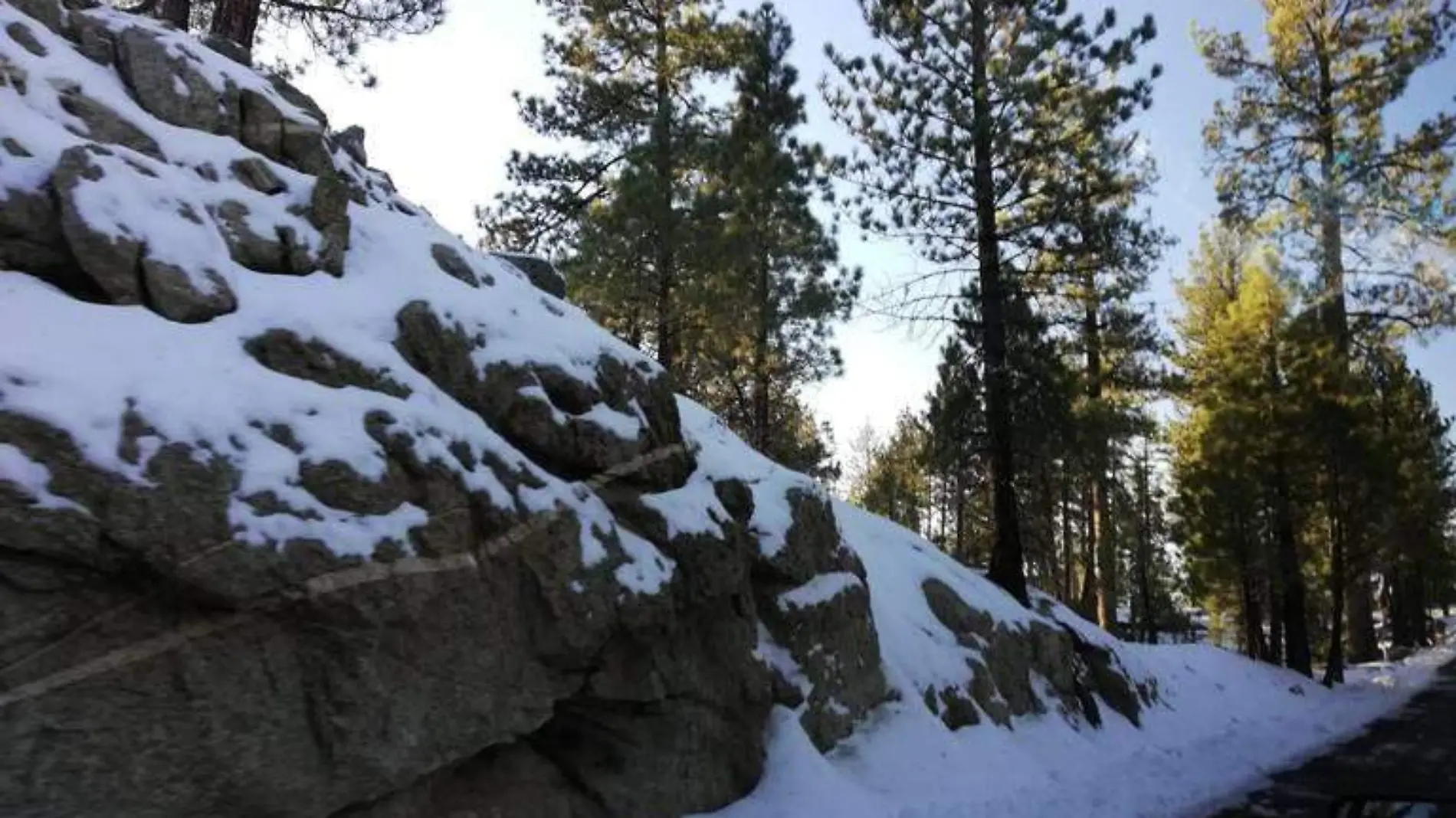 Sierra de San Pedro Mártir